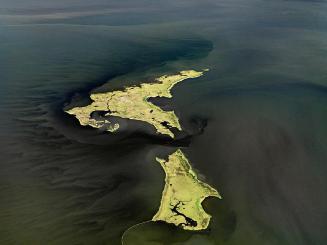 Oil Spill #14, Marsh Islands Gulf of Mexico, June 24, 2010