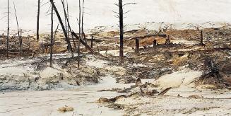 Uranium Tailings #7, Elliot Lake, Ontario