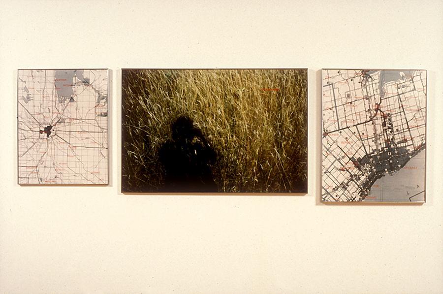 Grasslands