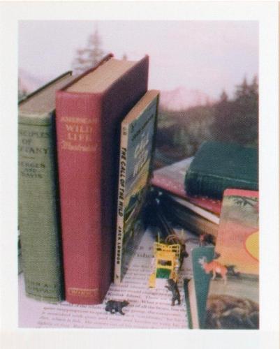 © Bill Burns. Copyright Visual Arts-CARCC, 2021