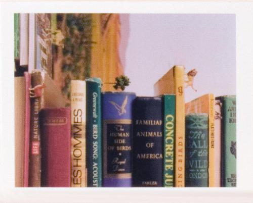 © Bill Burns. Copyright Visual Arts-CARCC, 2021