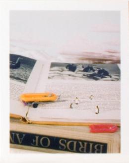 © Bill Burns. Copyright Visual Arts-CARCC, 2021