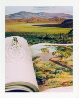 © Bill Burns. Copyright Visual Arts-CARCC, 2021