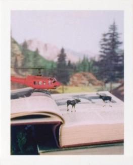© Bill Burns. Copyright Visual Arts-CARCC, 2021