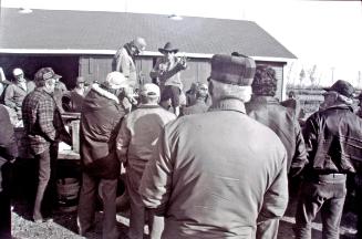 Farm Auction #2