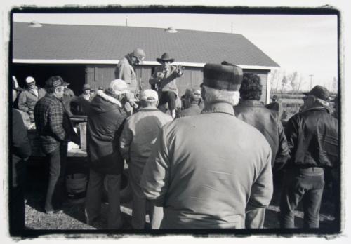 Farm Auction #2