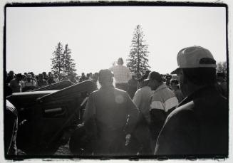 Farm Auction #3