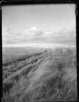 Prairie Trail