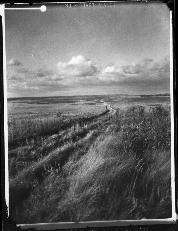 Prairie Trail