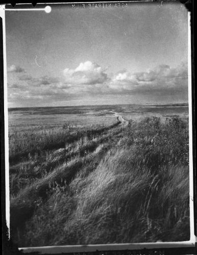 Prairie Trail