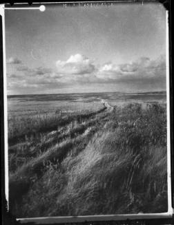 Prairie Trail