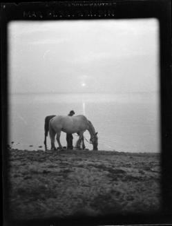 Evening, Waskesiu