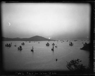 Butterfly Fleet