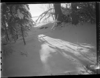 Winter Lake Shore