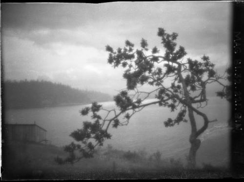 Silhouette (Departure Bay)