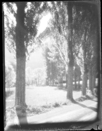 Morning Sunlight (St. Martin)