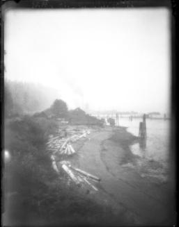 West Coast Sawmill