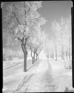 Boulevard-Dufferin Ave.