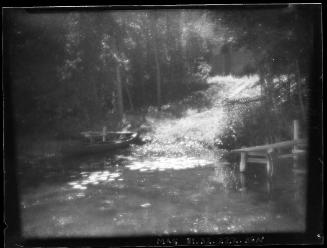 Pike Lake Lilies, Canoe