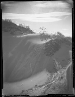 Tenacity - Sand Dune