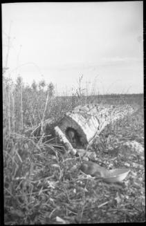 Untitled (gopher at bowl)
