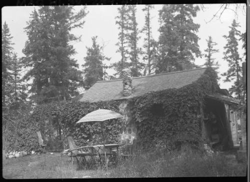 Untitled (vine-covered cabin)