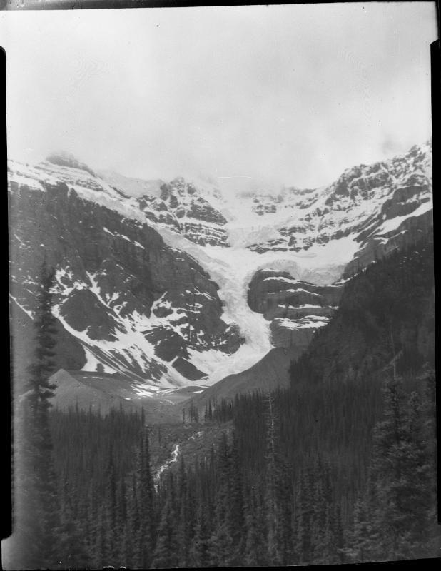 Untitled (treed valley and mountain)