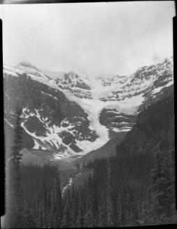 Untitled (treed valley and mountain)
