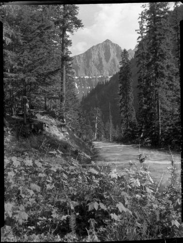 Untitled (road through mountains)