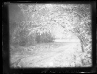 Untitled (clearing through snow-covered woods)