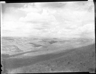 Untitled (hills and grasslands)