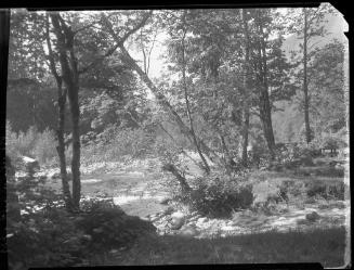 Untitled (picnic area)