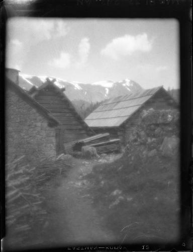 Untitled (farmyard)