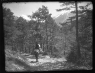 Untitled (mule with rider)