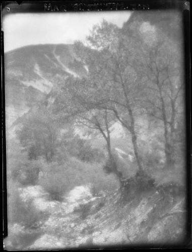 Untitled (rugged terrain)