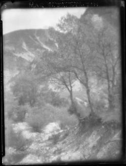 Untitled (rugged terrain)