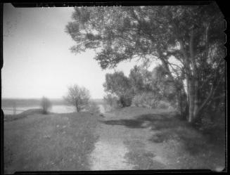 Untitled (path through park)