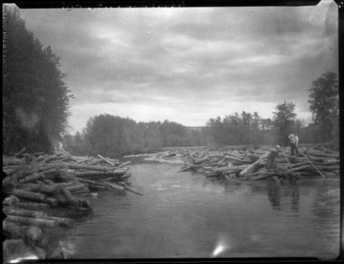 Untitled (men logging)