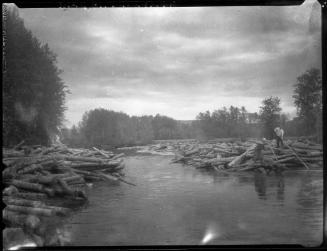 Untitled (men logging)