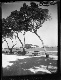Untitled (stone wall along harbour)