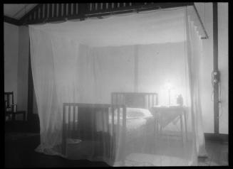 Mosquito Net