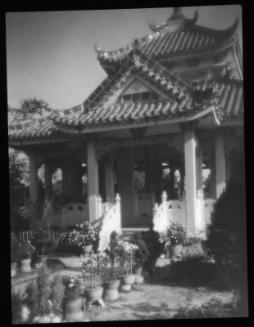 Blue Tiles and Chrysanthemums