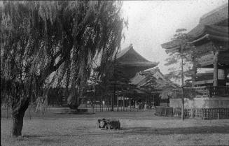 Japanese Temples, Kyoto