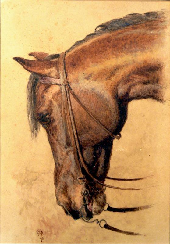 Horse’s Head