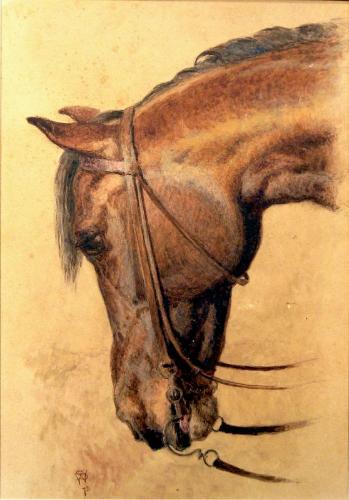 Horse’s Head