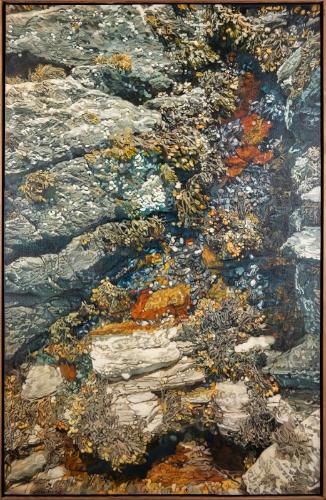 Rocks with Mussels and Lichen