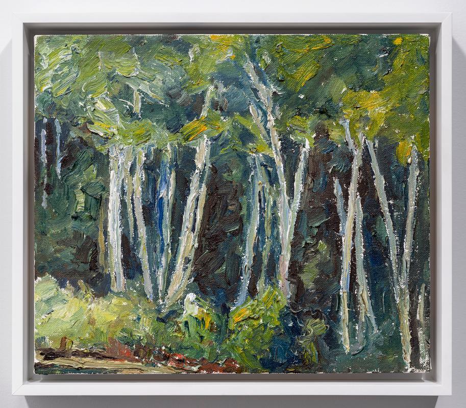 Dark Forest