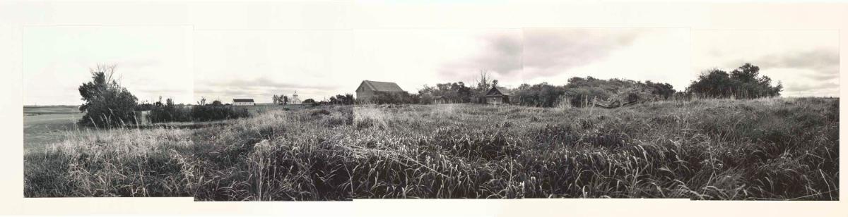 Bidulka Homestead, Smuts, SK