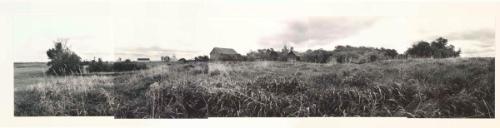 Bidulka Homestead, Smuts, SK