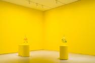 Installation view, "An apology, a pill, a ritual, a resistance," Remai Modern, 2021. Photo: Bla…